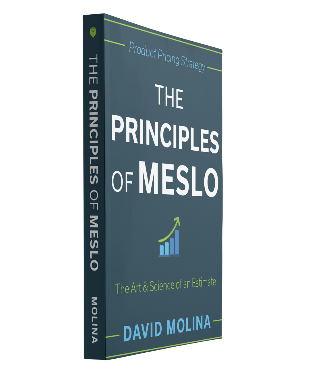 The Principles of MESLO angled book cover